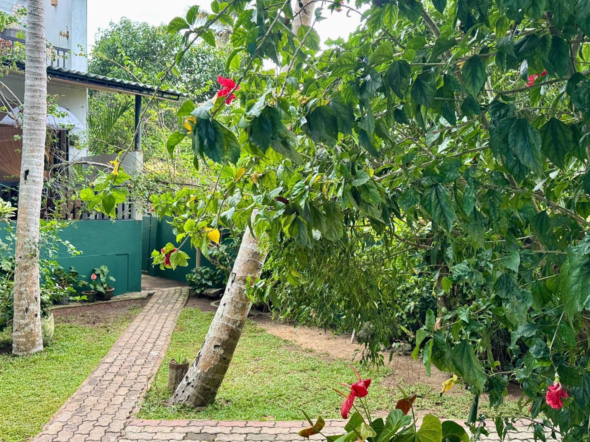 Swastha Ayurveda Villa Hikkaduwa Exterior foto